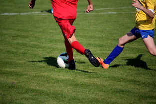 开云体育网站-LPL多个队伍重组计划曝光转会期极度混乱，lpl战队转会期